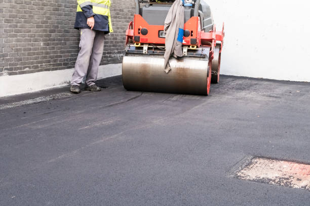 Driveway Pressure Washing